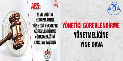 Yönetici Görevlendirme Yönetmeliğine Yine Dava