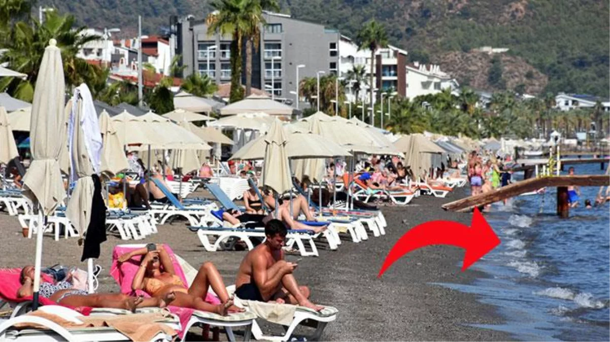 Muğla'da görüldü: Tek dokunuşu 30 kişiyi tabuta gönderiyor