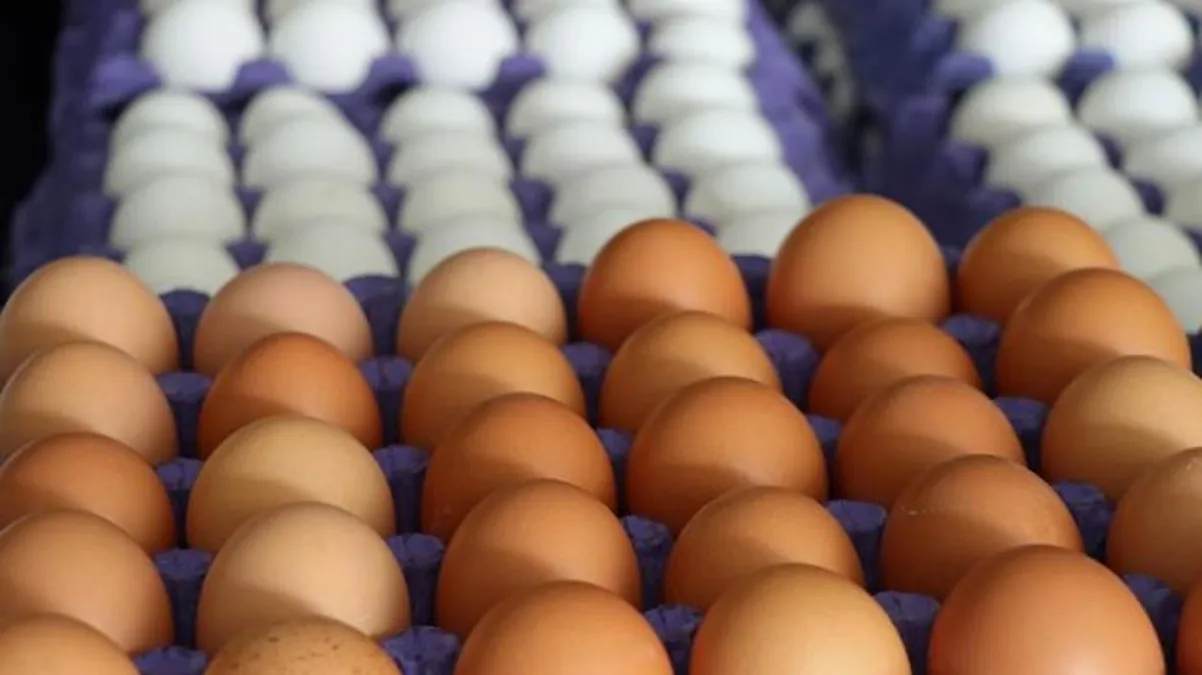 Yumurtaya da büyük zam